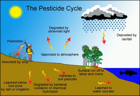 Pesticides