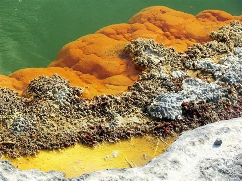 Champagne Pool, New Zealand | Amusing Planet