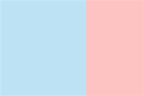 Baby Blue Baby Pink Color Palette