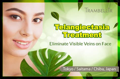 Telangiectasia Treatment (Eliminate Visible Veins on Face) [Tokyo] | Trambellir