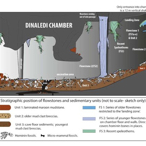 Geological map and cross-section of the Rising Star cave system. (A)... | Download Scientific ...