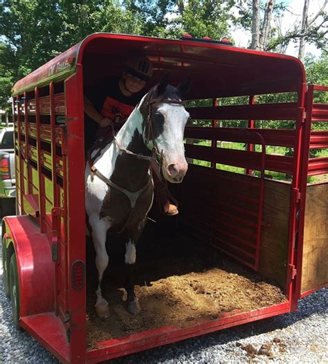 A BEGINNER DELUXE!!! For Sale in Union, Georgia, United States of America