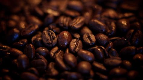 coffee beans Wallpapers HD / Desktop and Mobile Backgrounds