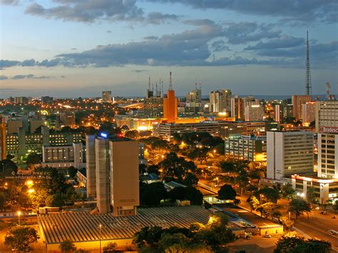 Brasília que os brasilienses conhecem | Na Terra do Ipê-amarelo