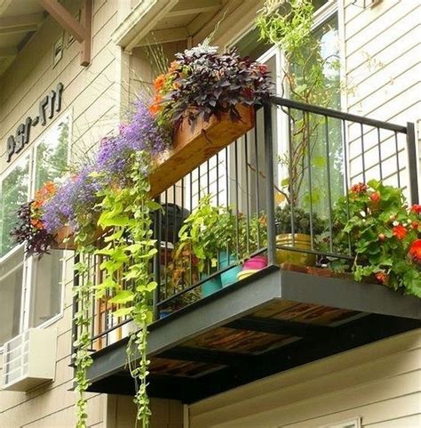 +19 Best Plants For Balcony Brisbane References