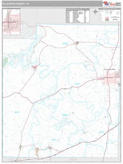 Palo Pinto County, TX Map (Premium Style)