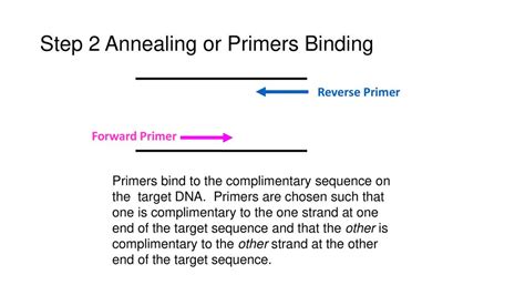 Sequencing Data Analysis - ppt download