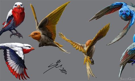 Image result for bird concept art | Mythical birds, Animals artwork ...