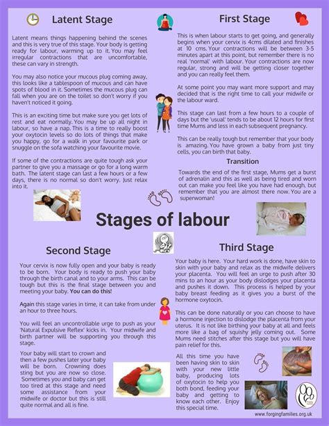 Pin by Kelly Graves on School stuff:) | Stages of labor, Cervix, How to get