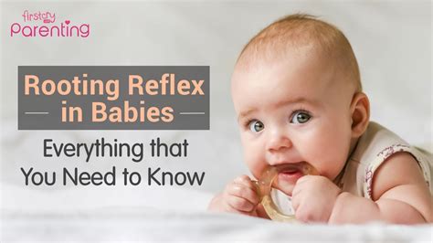 Rooting Reflex In Babies: What It Is And Why It Develops, 52% OFF