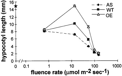 Influence of Light Quantity on Hypocotyl Length in WildType, AS, and OE ...