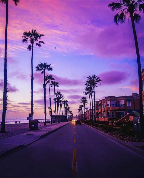 California 1983 | Florida wallpaper, Synthwave, Miami architecture