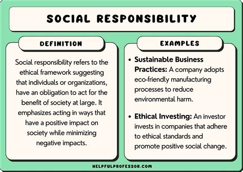 18 Social Responsibility Examples (Personal and Corporate) (2024)