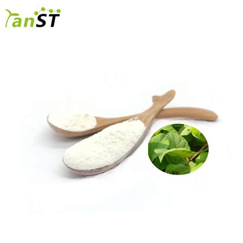 High Quality Best Price Polygonum cuspidatum extract 98% Trans Resveratrol,China price supplier ...