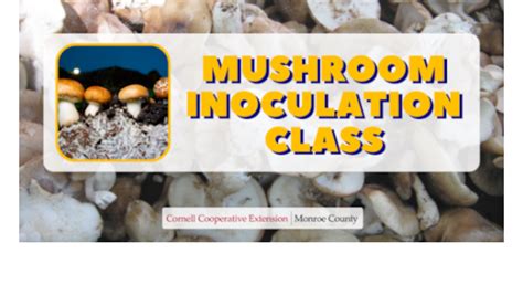 Mushroom Inoculation Class - Morning Ag Clips