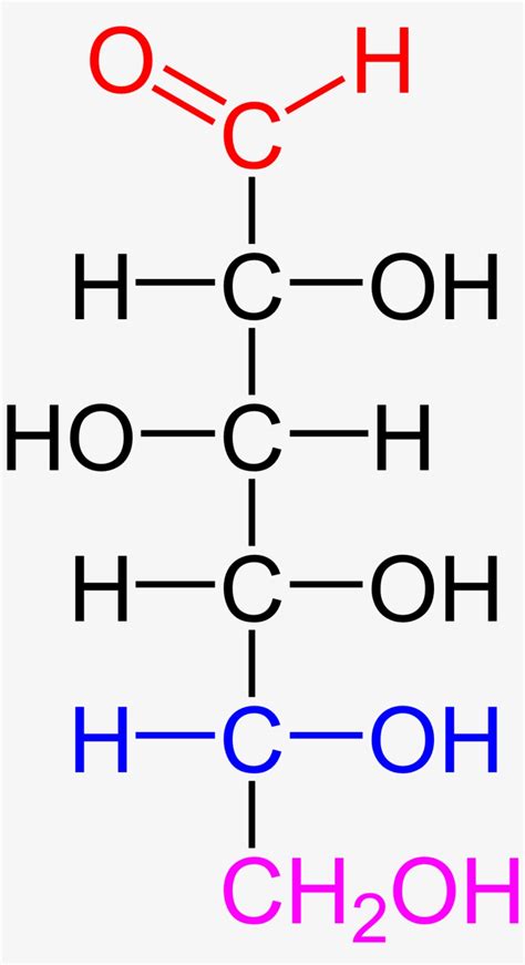 D-glucose Color Coded - D Glucose Functional Groups - 1185x2040 PNG Download - PNGkit