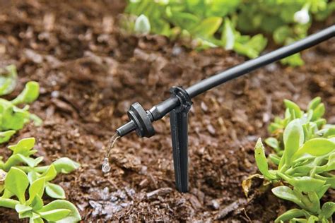 10 Best Drip Irrigation Systems of 2024 - Best Garden Tips