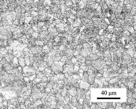 Microstructure of the tested steel. | Download Scientific Diagram