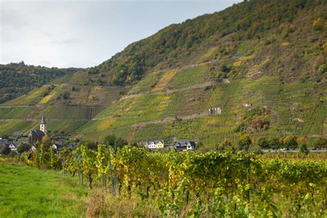 A Vineyard Story: Bremmer Calmont, Germany | Opening a Bottle