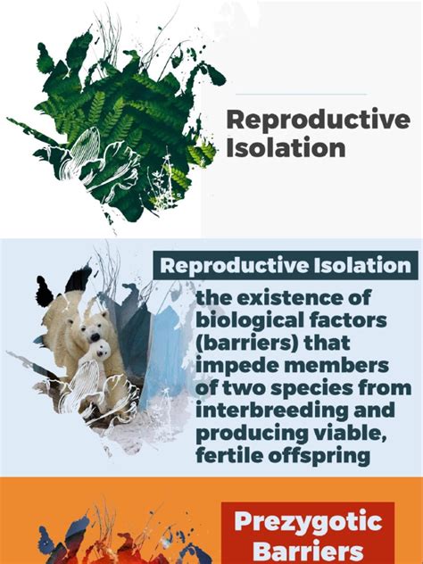 LESSON 7 - Isolation and Speciation | PDF