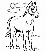 Top 55 Free Printable Horse Coloring Pages For Kids  Ngựa ẹp sketch template