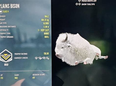 I've shot three albino plains bison in 15 minutes.. a Leucistic as well, are these even rares ...