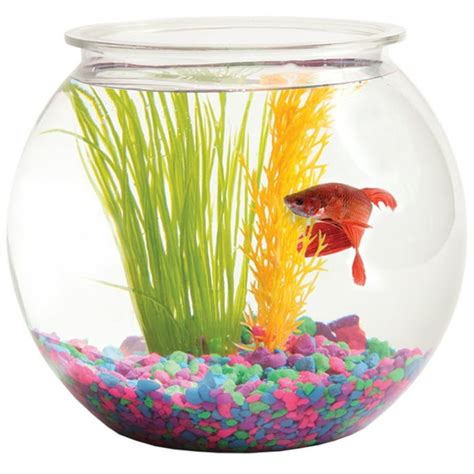 Fish Bowl 1-Gallon Bubble-Shape - Walmart.com - Walmart.com