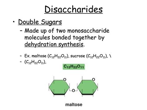 L.E. Bio Theme 2 Carbohydrates. - ppt download