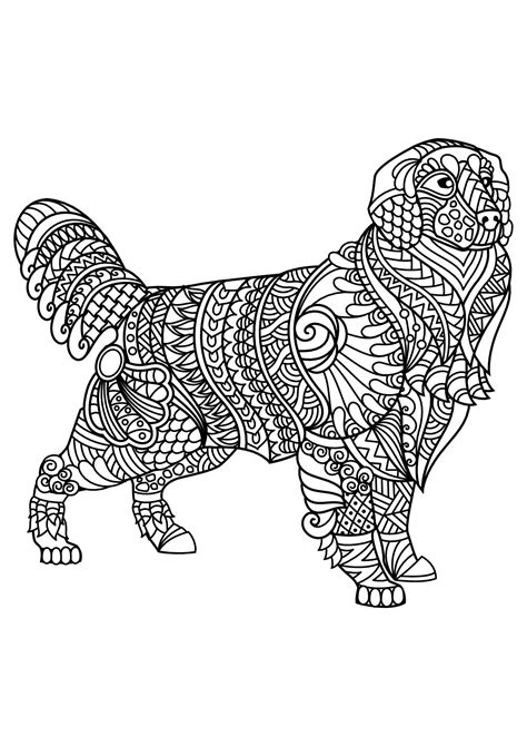 Labrador - Dog Coloring Pages for Kids