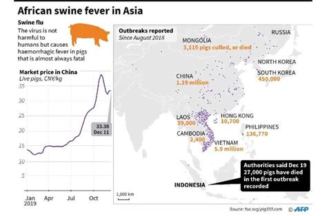 African swine fever kills nearly 30,000 pigs in Indonesia