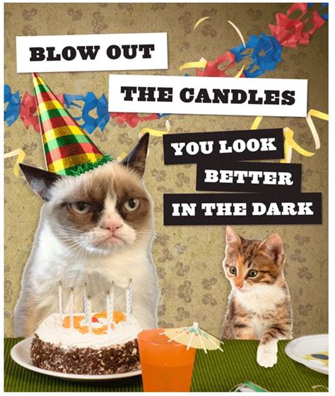 56 best images about Grumpy Cat Birthday on Pinterest