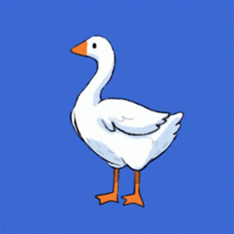 Goose Honk Sound Loop GIF | GIFDB.com