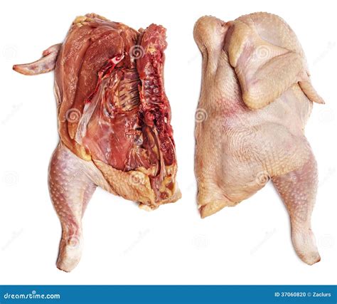 Rotten chicken stock photo. Image of dirty, bizarre, animal - 37060820