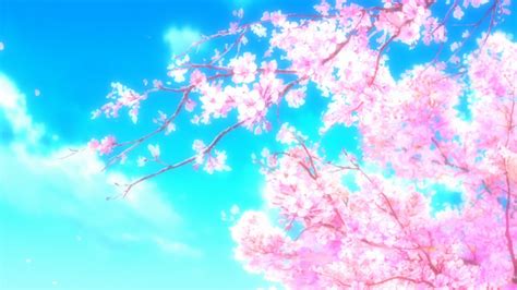 Anime Cherry Blossom Wallpapers - Top Free Anime Cherry Blossom Backgrounds - WallpaperAccess