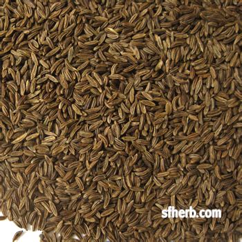 Caraway Seeds, Whole - 1 Lb