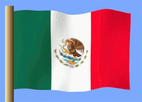 Flag Gif, Mexico Flag, Animated Gif, Cool Gifs, Mickey, Animation, Sports, Stickers, Twitter