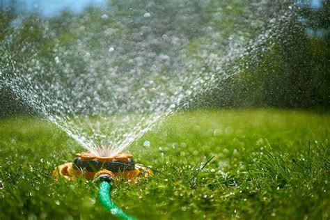 How much you should water your lawn, according to a golf superintendent