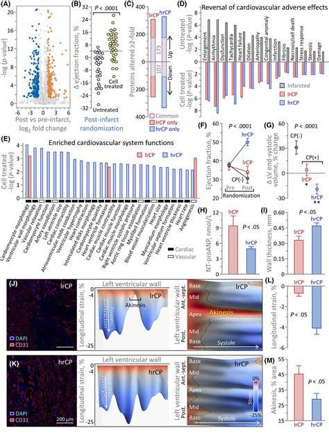 Secretome signature of cardiopoietic cells echoed in rescued infarcted heart proteome - Arrell ...