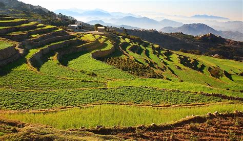 What Are The Major Natural Resources Of Yemen? - WorldAtlas