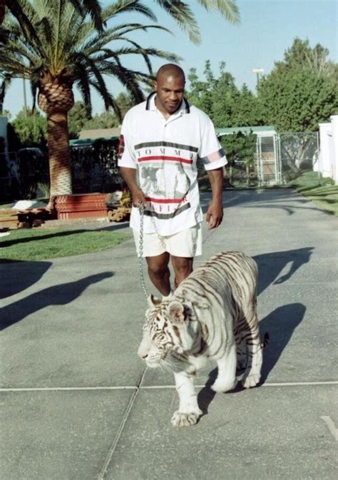 Pin by Daan van Kooten on 20 | Mike tyson, Tyson, Pet tiger