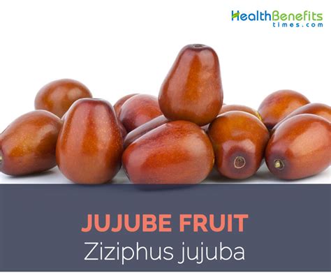 Jujube facts and health benefits