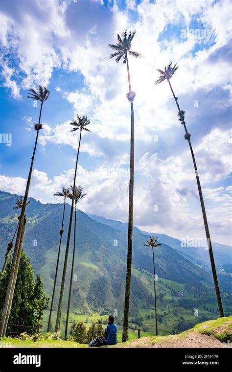 Cocora Valley, Salento, Quindío, Colombia Stock Photo - Alamy