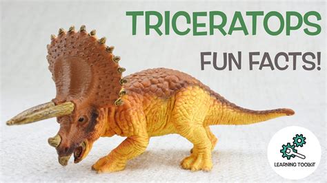 TRICERATOPS FACTS! | Fun & Educational | Dinosaurs For Kids | Best Dinosaur Facts - YouTube