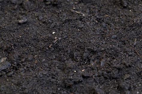 Black Soil Stock Photos, Images and Backgrounds for Free Download