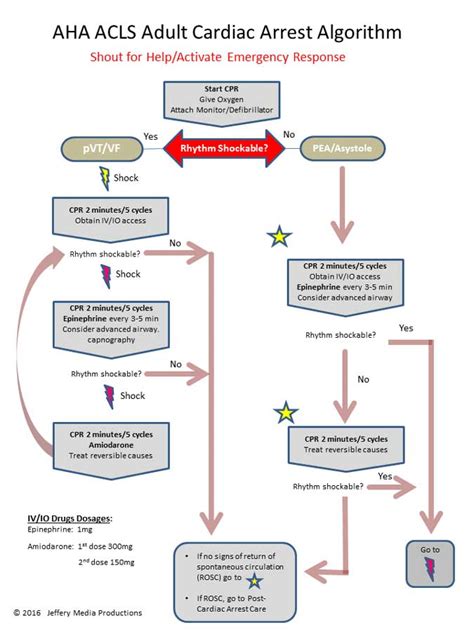 PEA and it's ACLS algorithm | ACLS-Algorithms.com