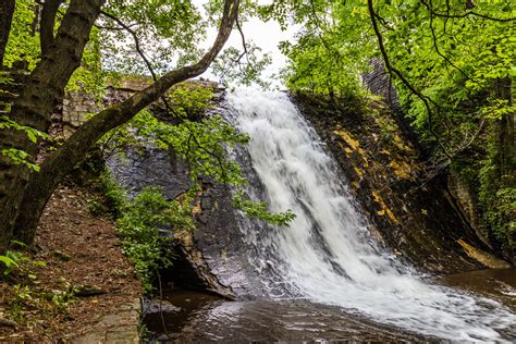 4/25/18 – Beautiful Sights and Finds at Oak Mountain State Park | Picture Birmingham