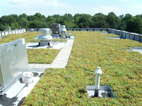 Cold Spring Elementary SchoolPotomac, MD | Riverbend Greenroofs