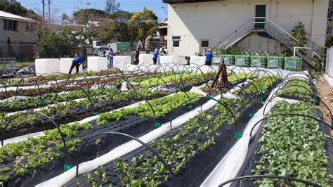 THE MINI FARM PROJECT: MAKING FOOD ACCESSIBLE FOR ALL - Wine & Dine'm ...