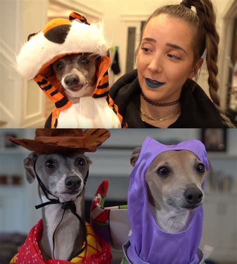 17 Jenna Marbles Kermit The Dog Moments