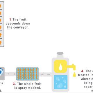 Cold Pressed Method/ Expression Method of Essential Oil Extraction... | Download Scientific Diagram